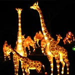 China_Lantern_girafs